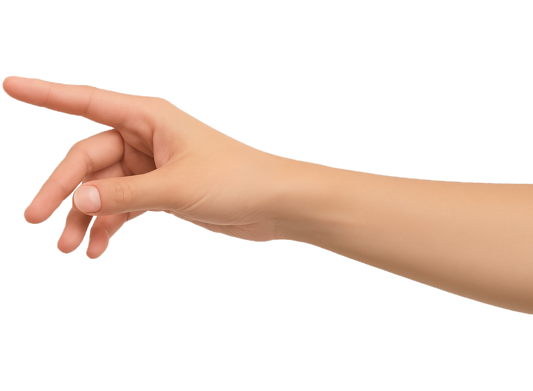 Human Hand